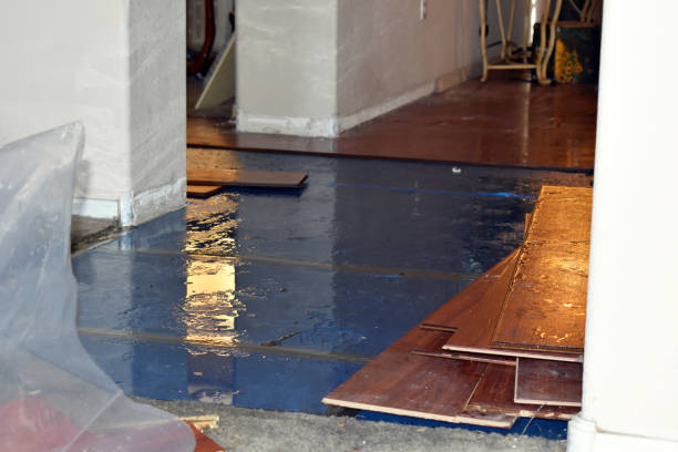 Professional Burst Pipe Cleanup technician working in Hensonville, NY